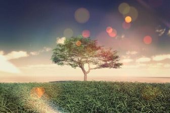 WisdomTree Receives Approval for Digital Asset Business in New York